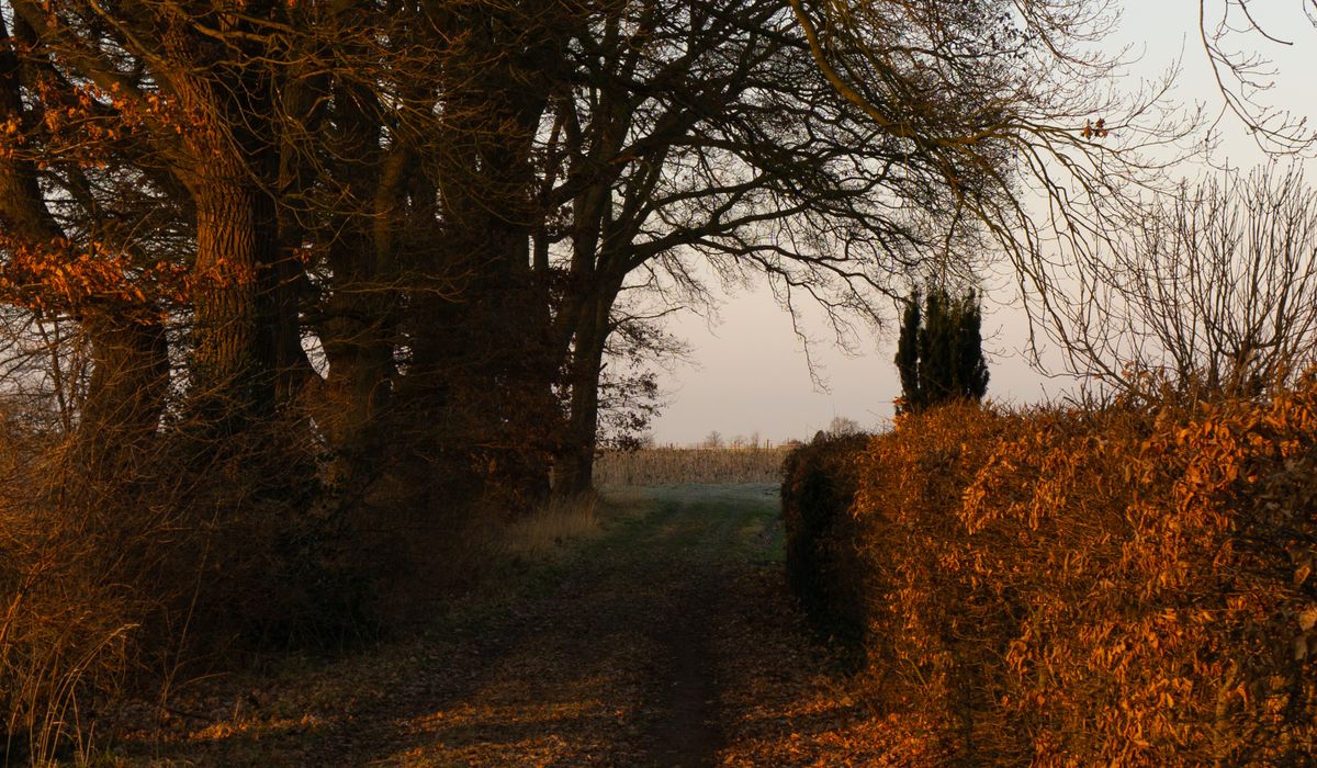 A Slow Weekend in a Cotswold Stone Village